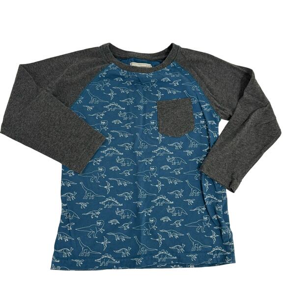 Distortion Blue & Gray Dinosaur Raglan Long Sleeve Shirt Size L 6 - Picture 1 of 2
